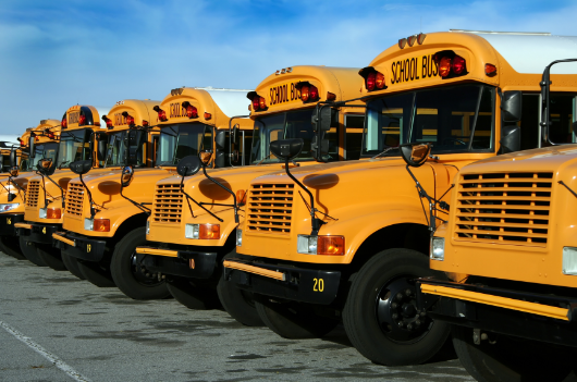 How To Get The School Buses For Hire Them Inside The Whole Sydney? Review And Processed Guide