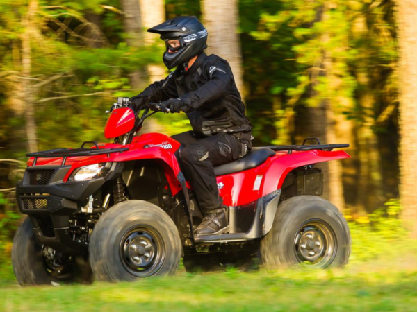 ATVs for sale