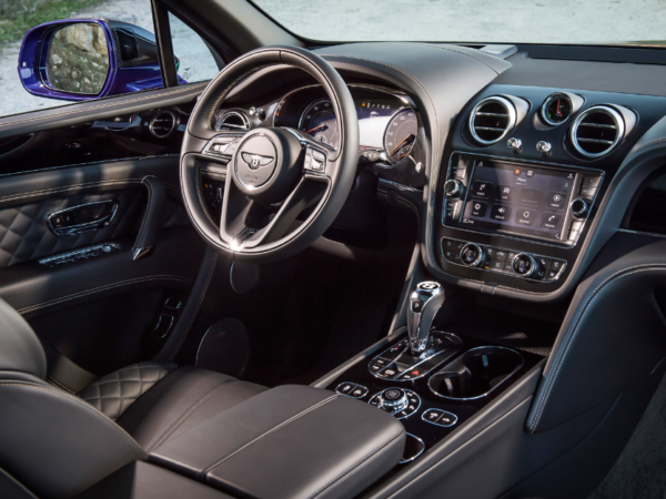 car grooming Papatoetoe